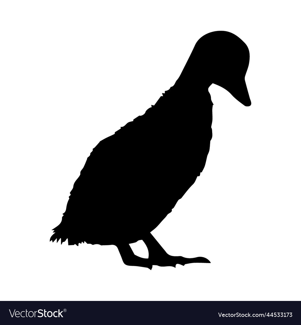 Duck Silhouette