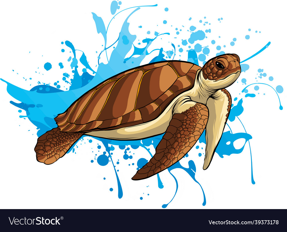 Sea Turtle On Water Royalty Free Vector Image - Vectorstock