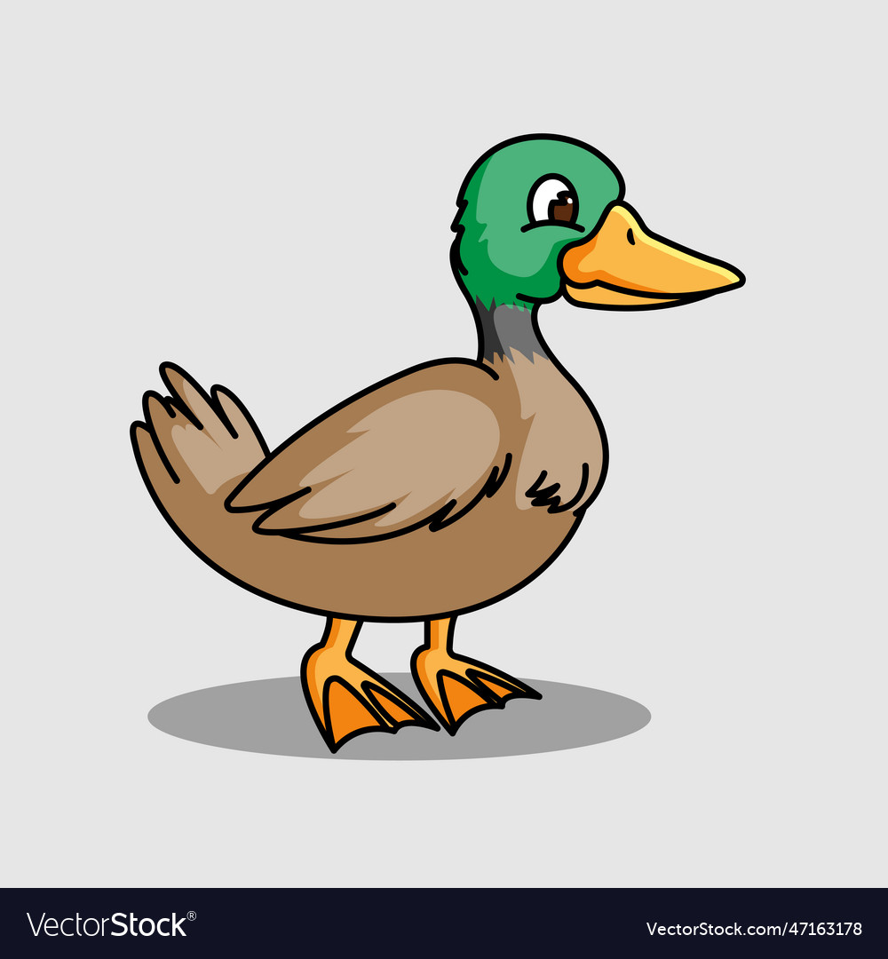 West duck Royalty Free Vector Image - VectorStock