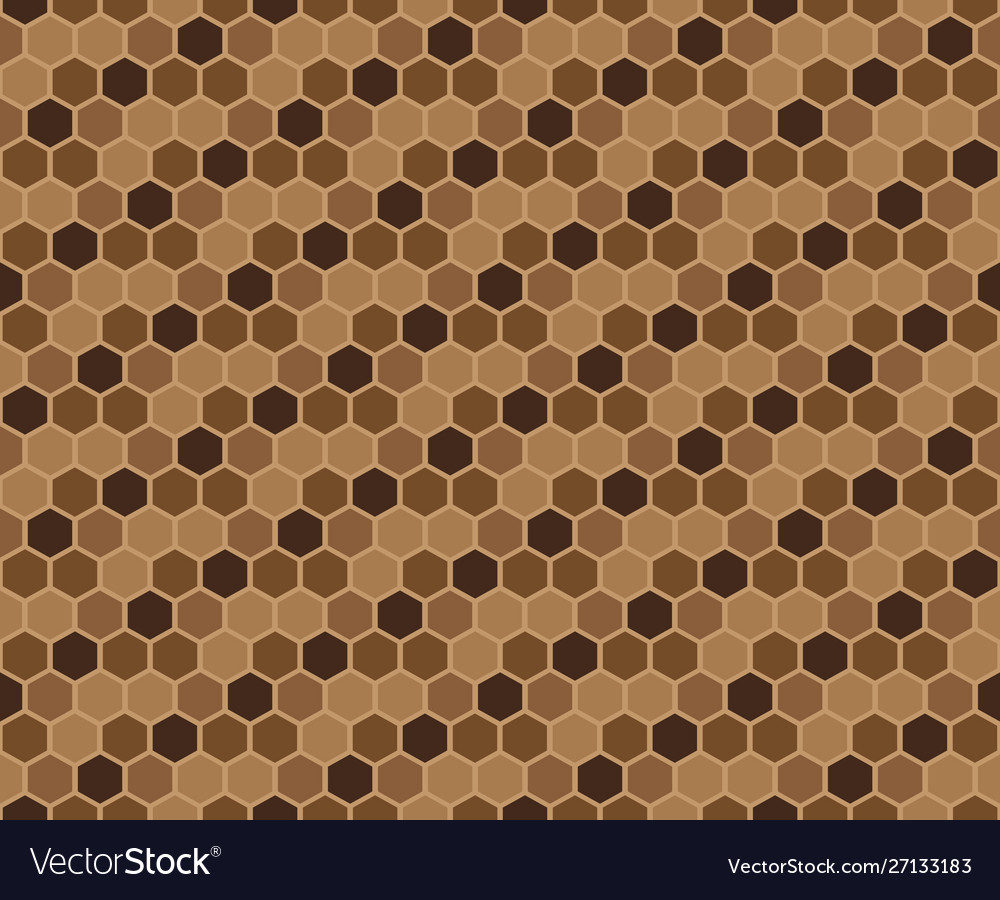 Brown hexagon geometric pattern Royalty Free Vector Image