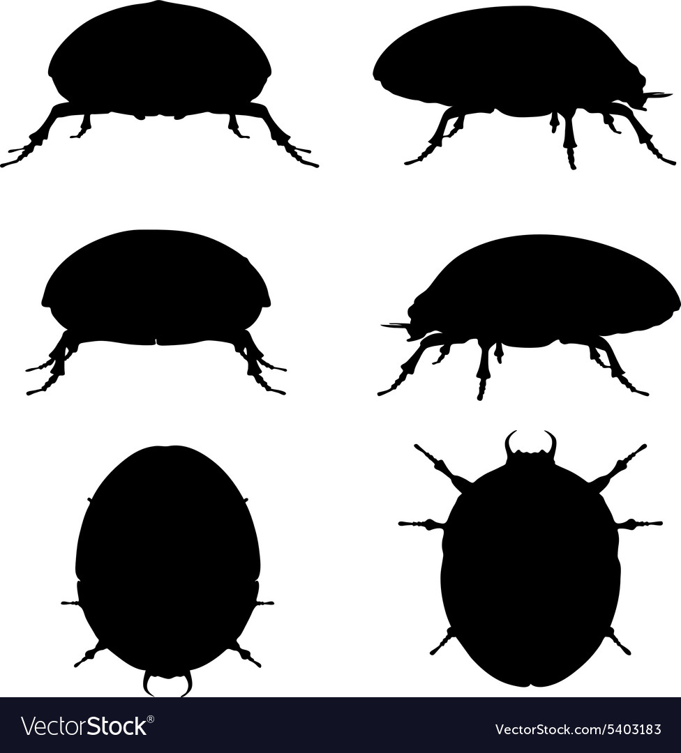 Bug scarab silhouette