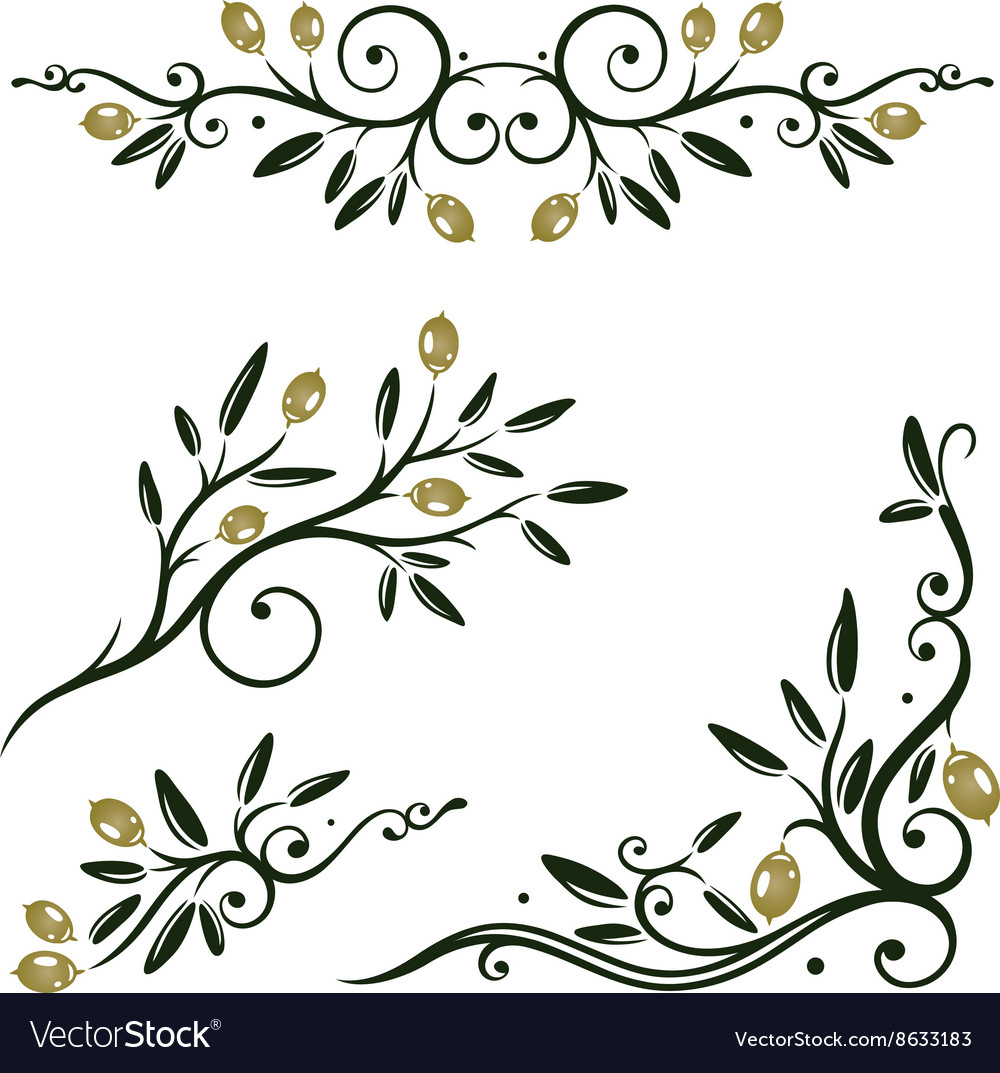 Olive set Royalty Free Vector Image - VectorStock