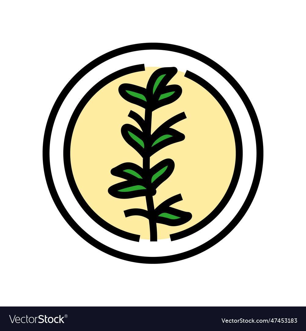 Thyme cosmetic plant color icon Royalty Free Vector Image
