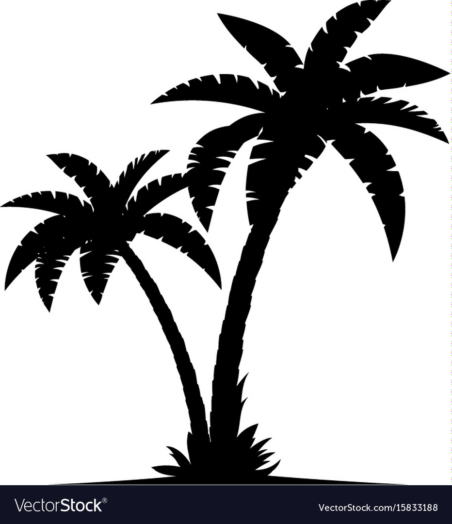 Palm Tree Silhouette Vector Palm Trees Silhouette Cliparts Co The   A Palm Tree Silhouettes Vector 15833188 