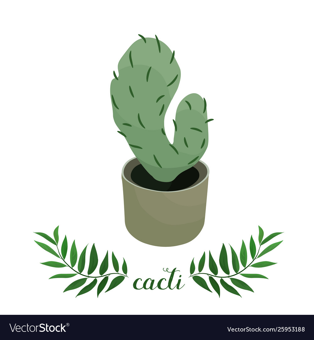 Wonderful Cacti Royalty Free Vector Image Vectorstock