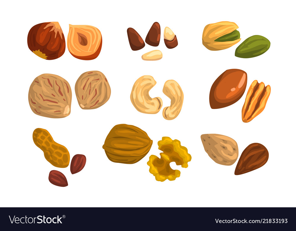 Flat icons of nuts and seeds hazelnut Royalty Free Vector