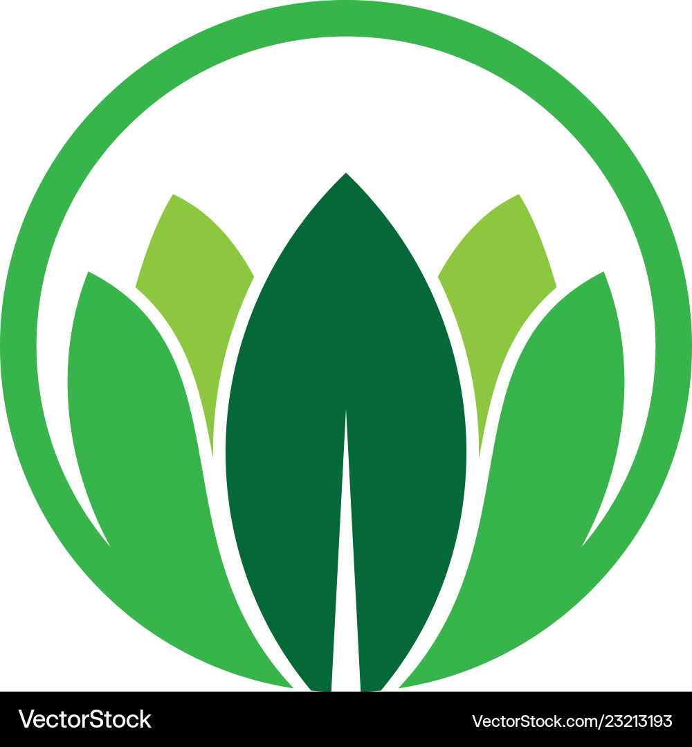 Leaf eco logo Royalty Free Vector Image - VectorStock