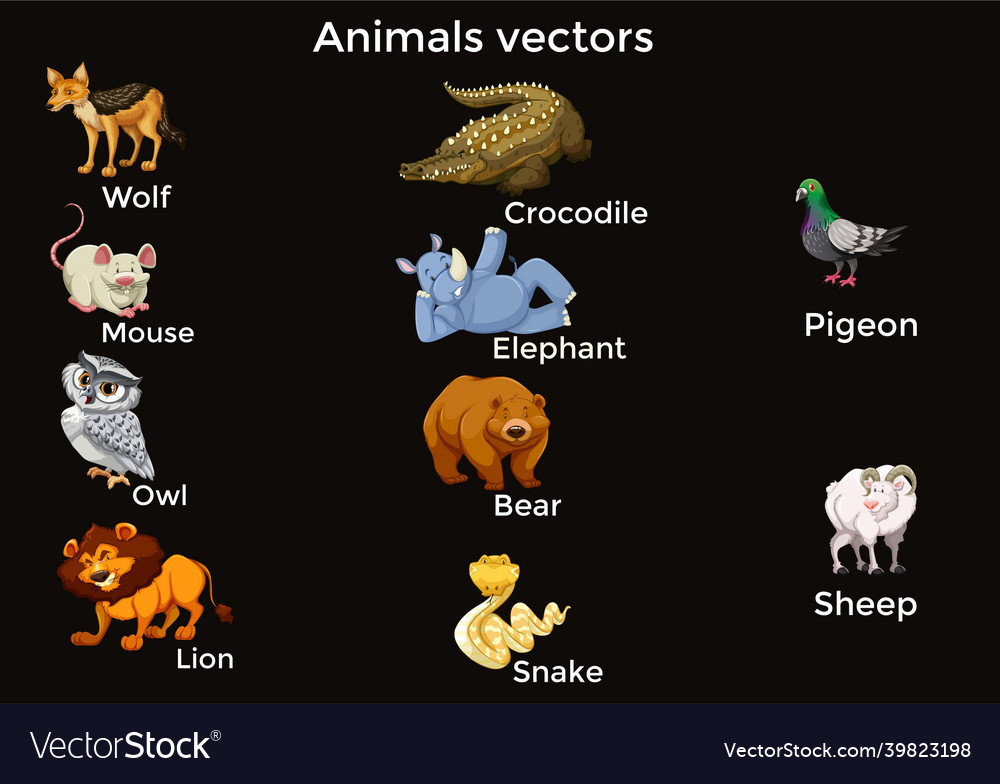 Animals Royalty Free Vector Image - Vectorstock