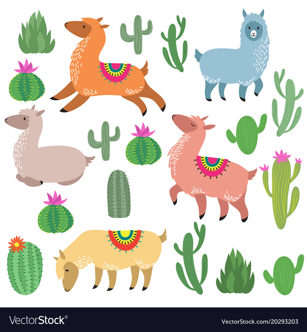 Cute alpaca lamas wildlife llama Royalty Free Vector Image