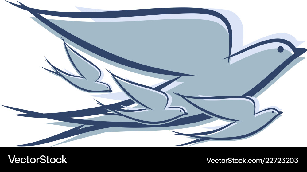Flying Shallow Vector Flying swallow Royalty Free Vector Image - VectorStock