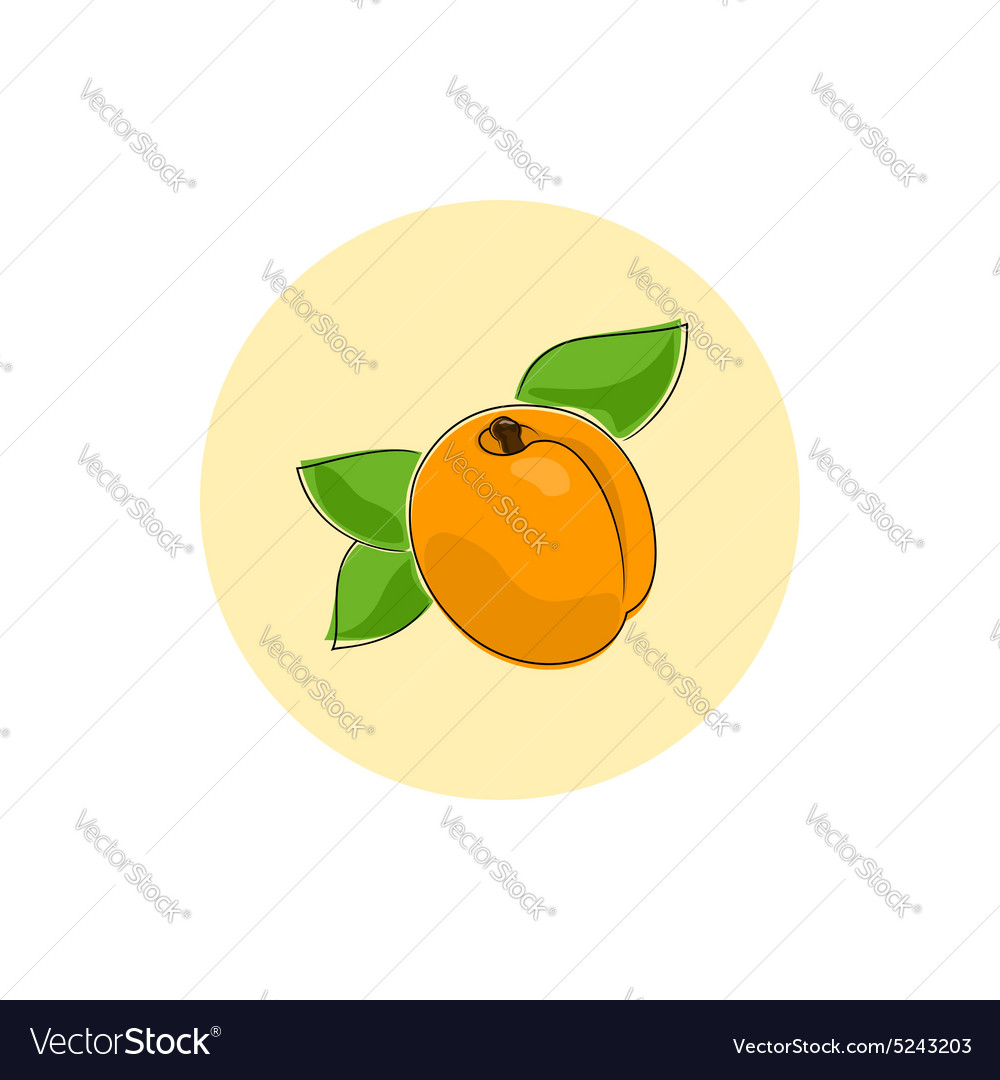 Icon colorful apricot