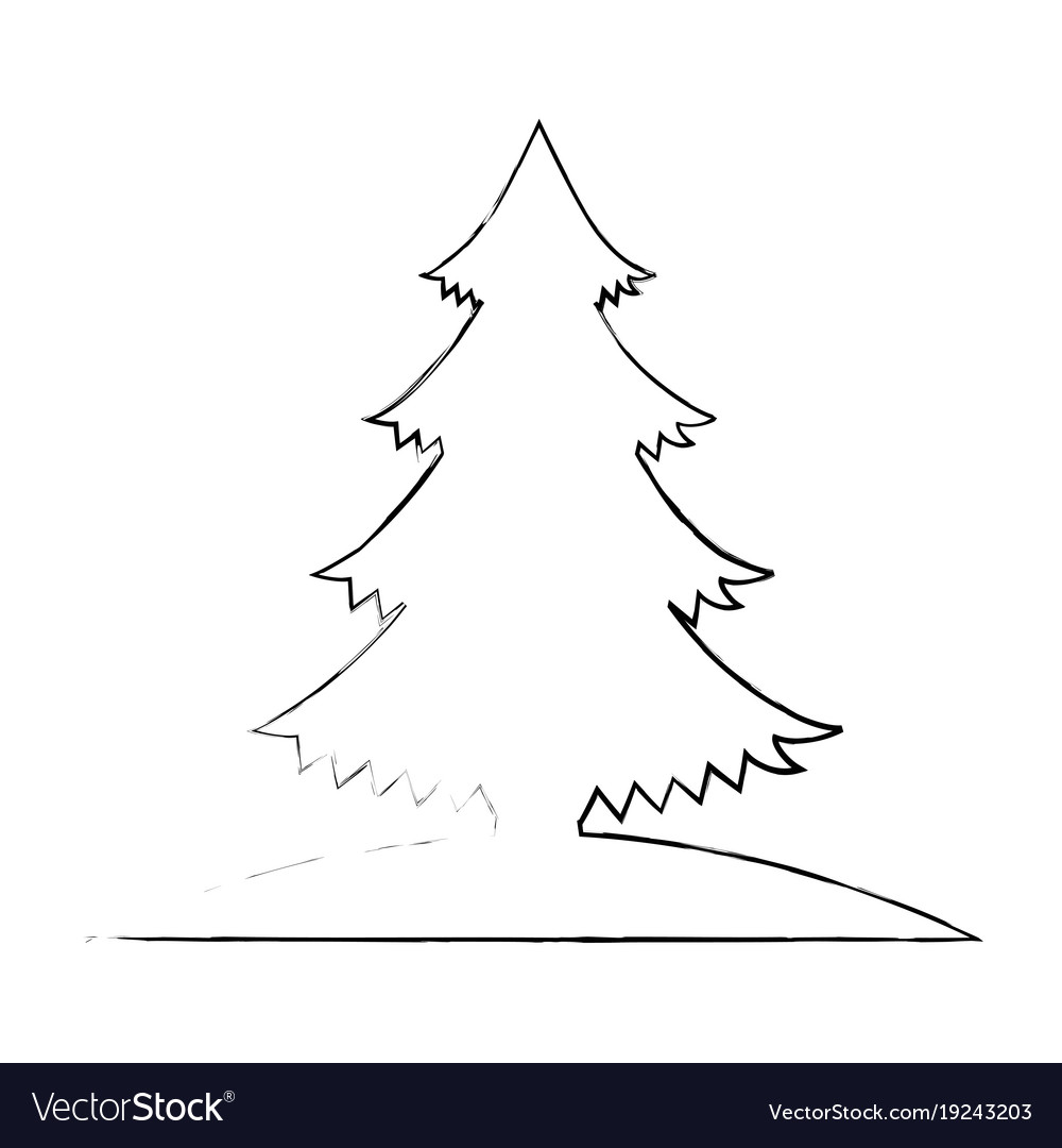 Pine tree plant icon Royalty Free Vector Image