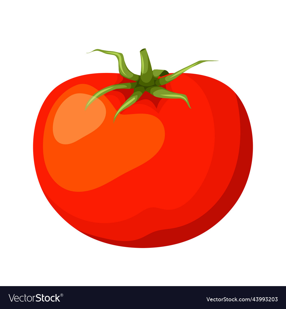 Tomato Vegetable Cartoon Royalty Free Vector Image 6027