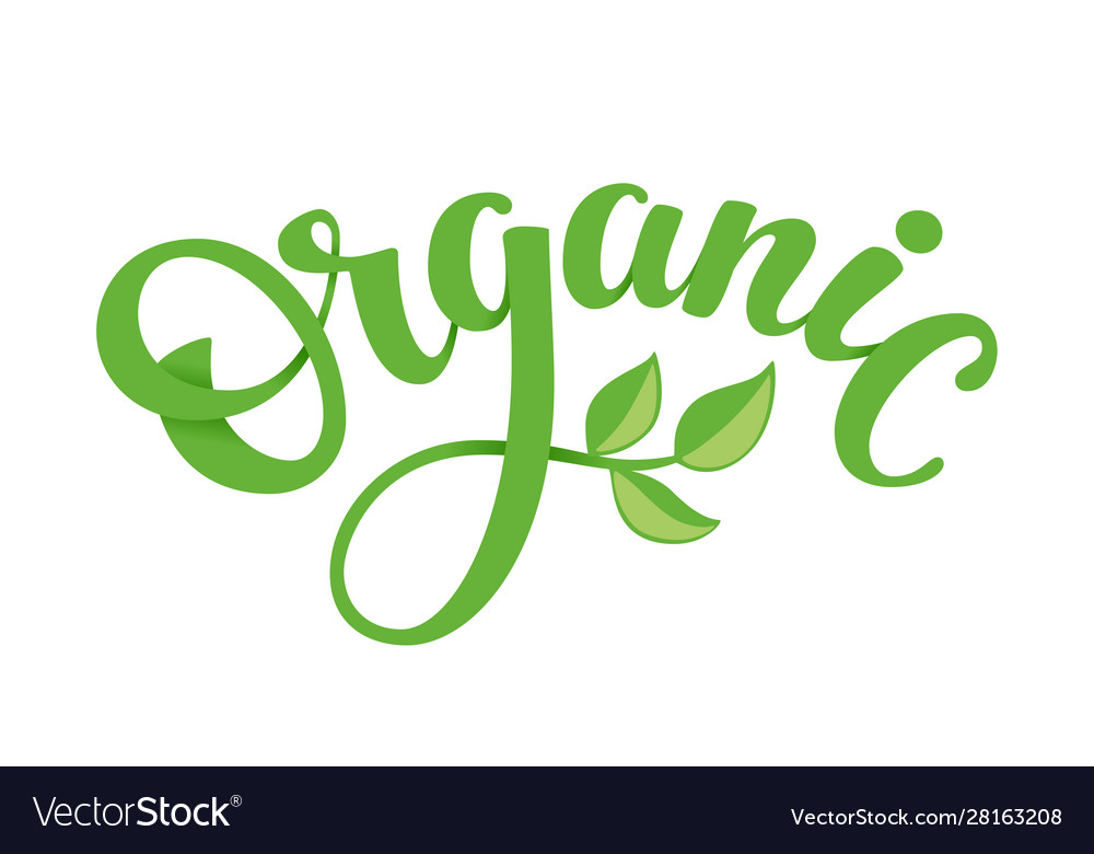 Word organic with green leaves hand