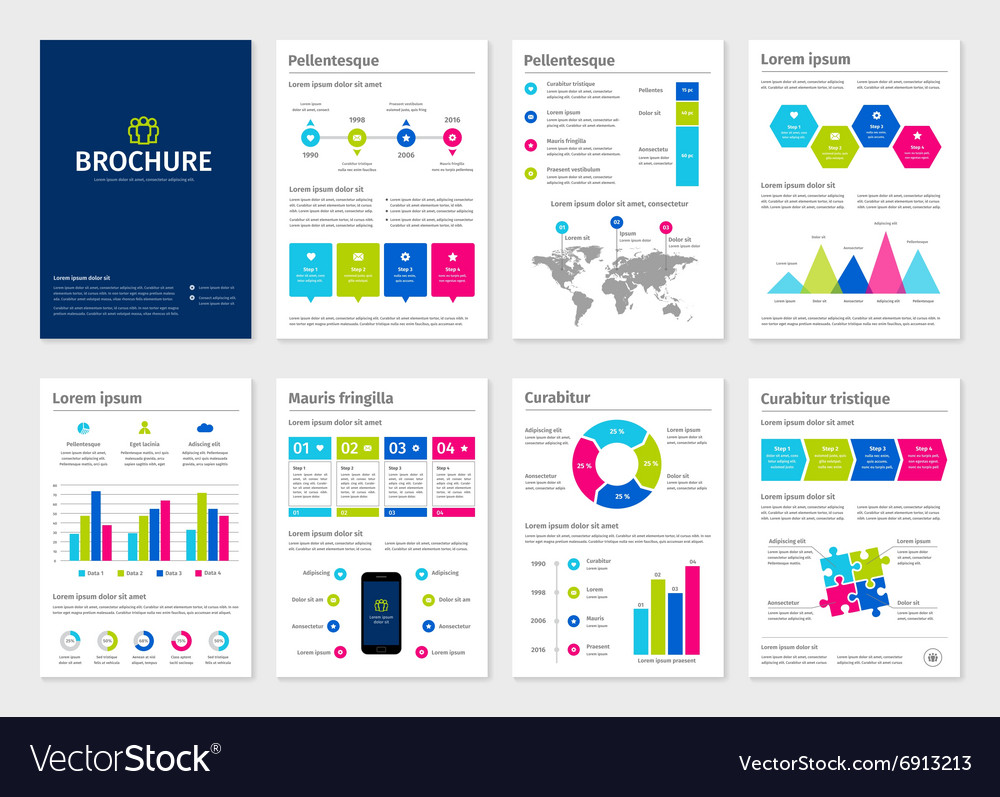 Business Colorful A4 Brochures With Infographic Vector Image