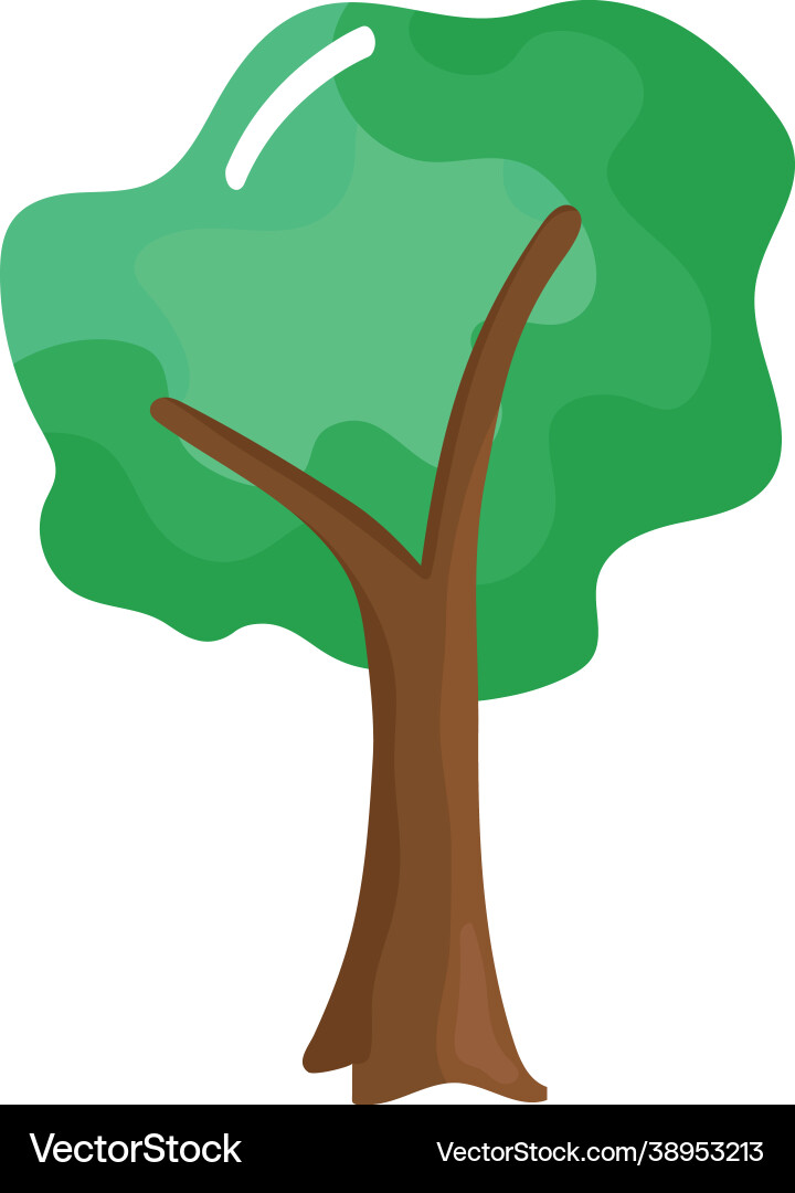 Tree plant forest Royalty Free Vector Image - VectorStock