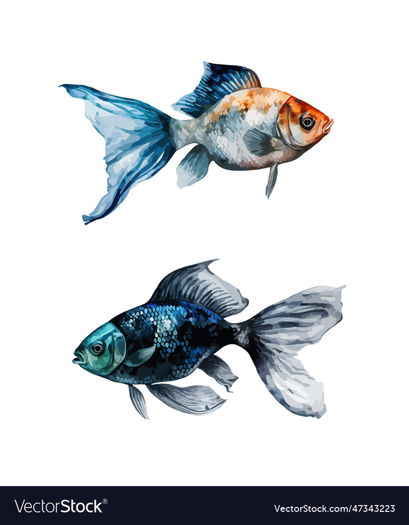 Fish clipart isolated Royalty Free Vector Image