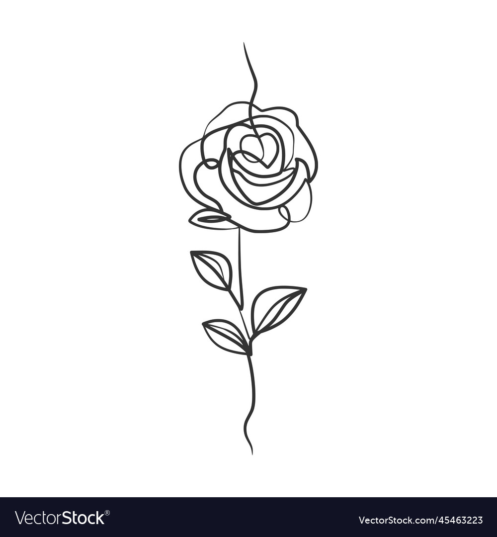 Rose flower in continuous line art drawing style