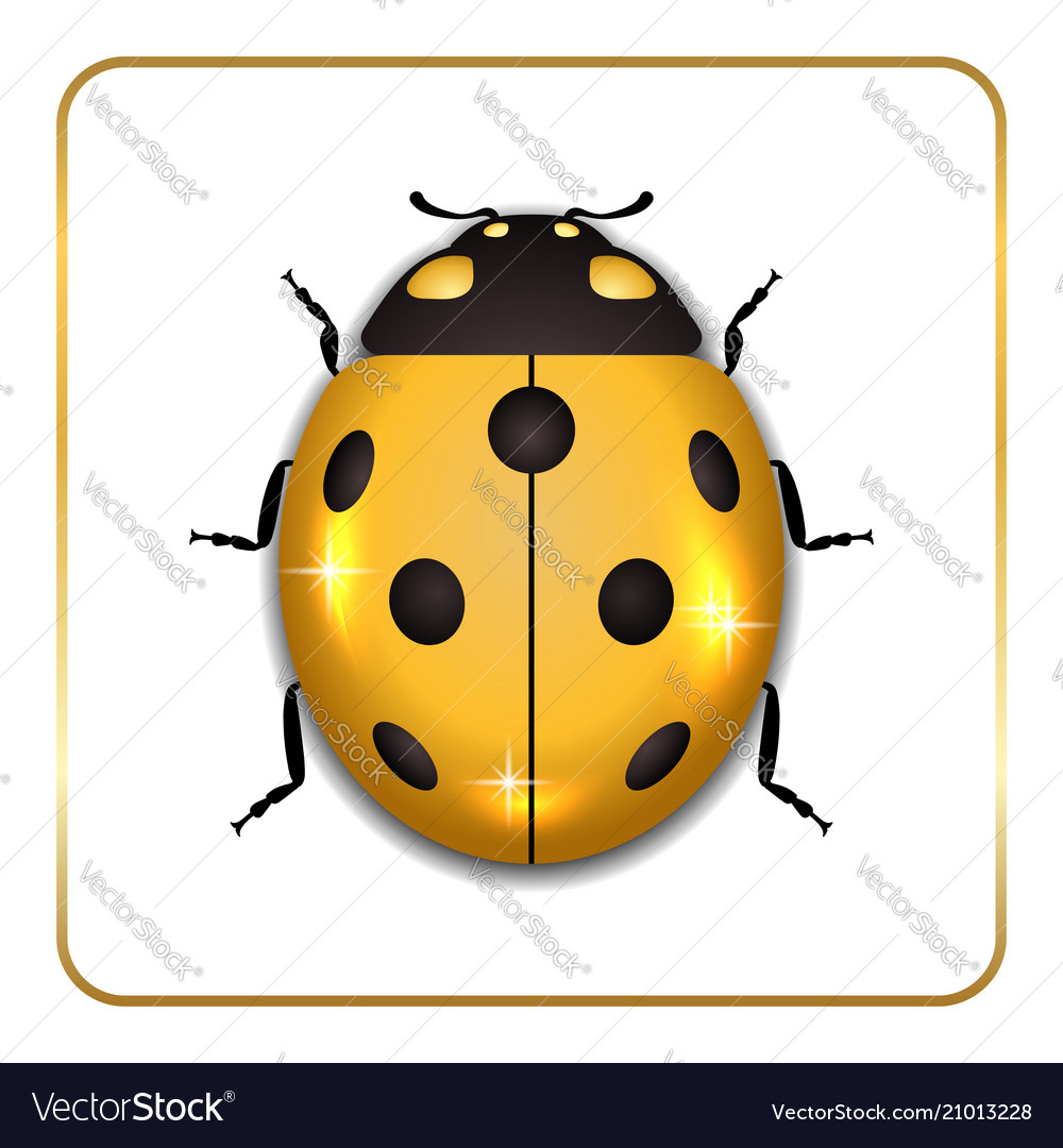 Ladybug gold insect small icon golden lady bug Vector Image