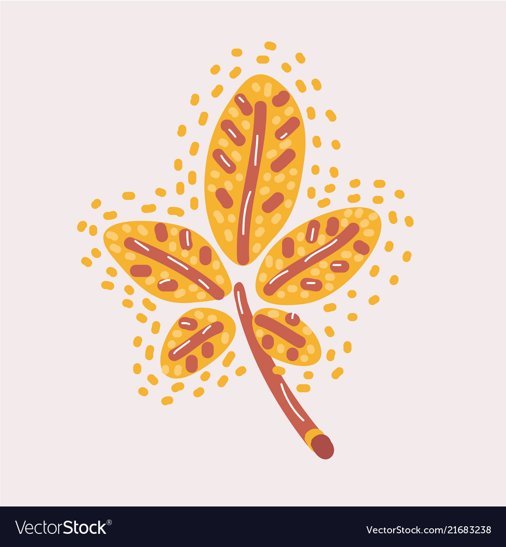 Autumn yellow chestnut tree leaf isolated