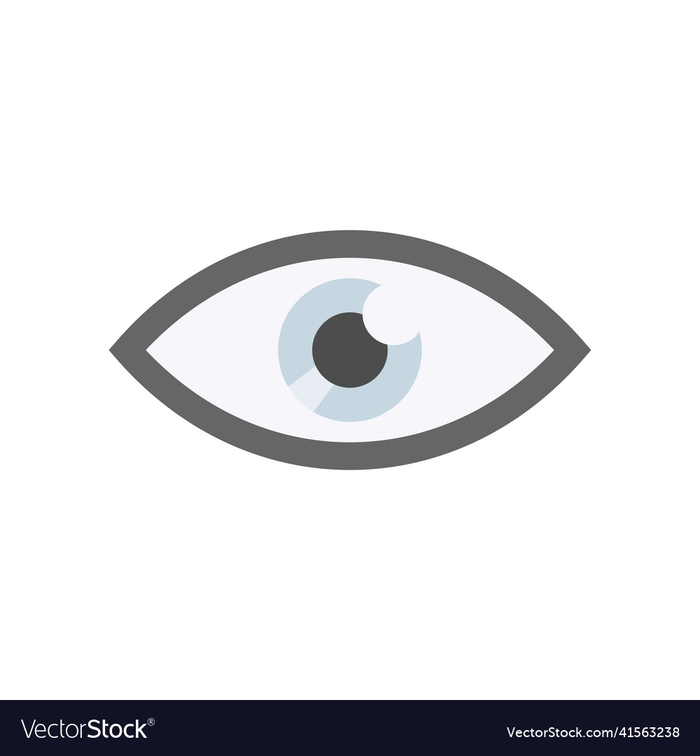 Eye icon design flat design style modern Vector Image