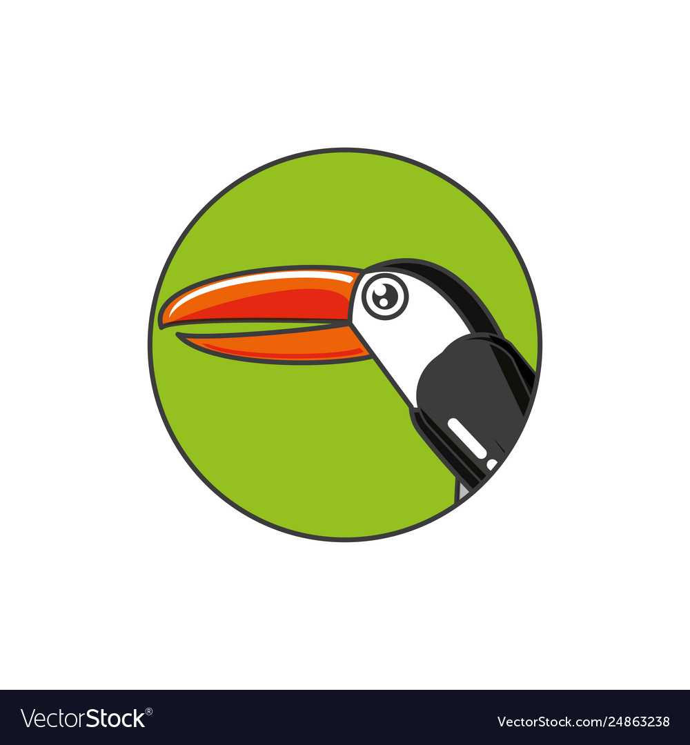 Toucan Bird Animal In Frame Circular Royalty Free Vector