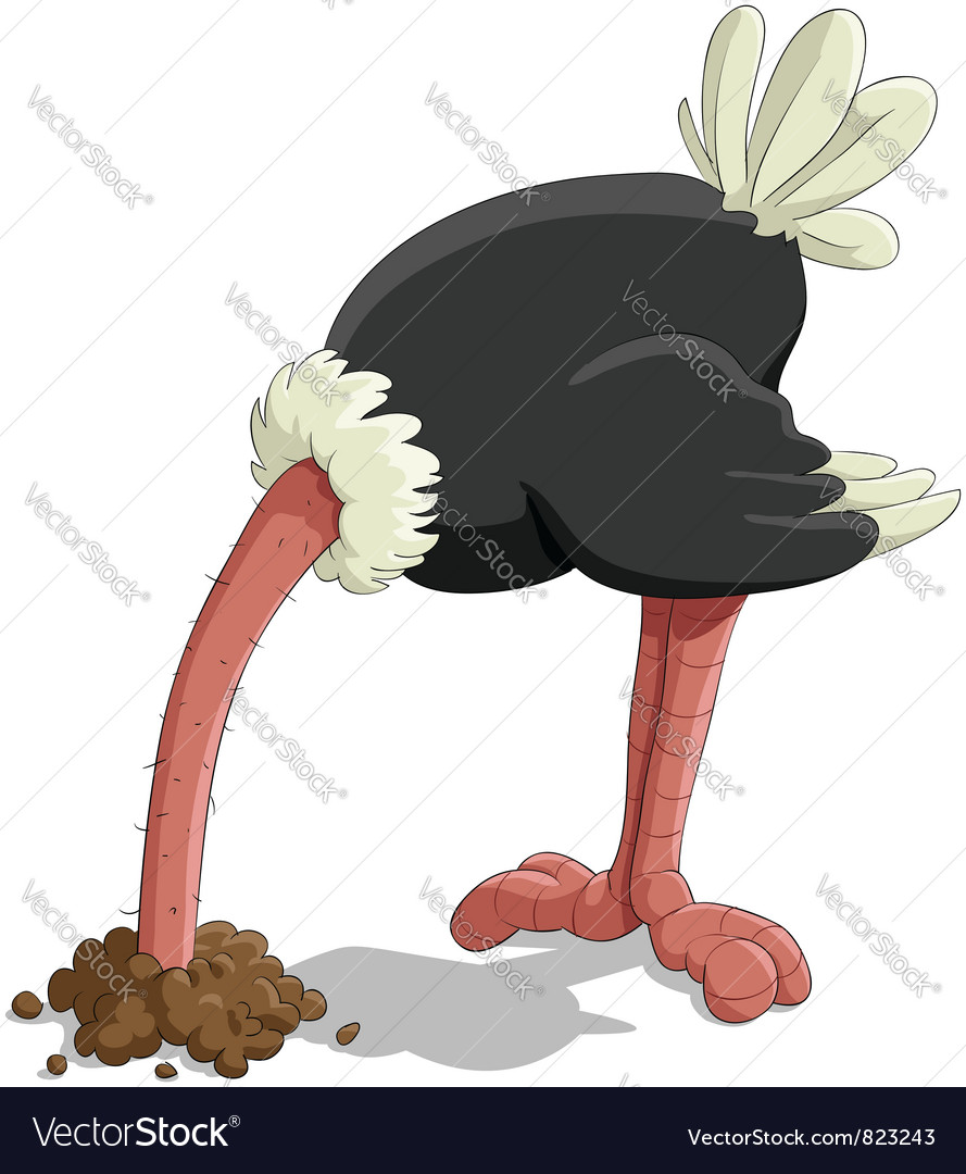 Ostrich Royalty Free Vector Image - VectorStock