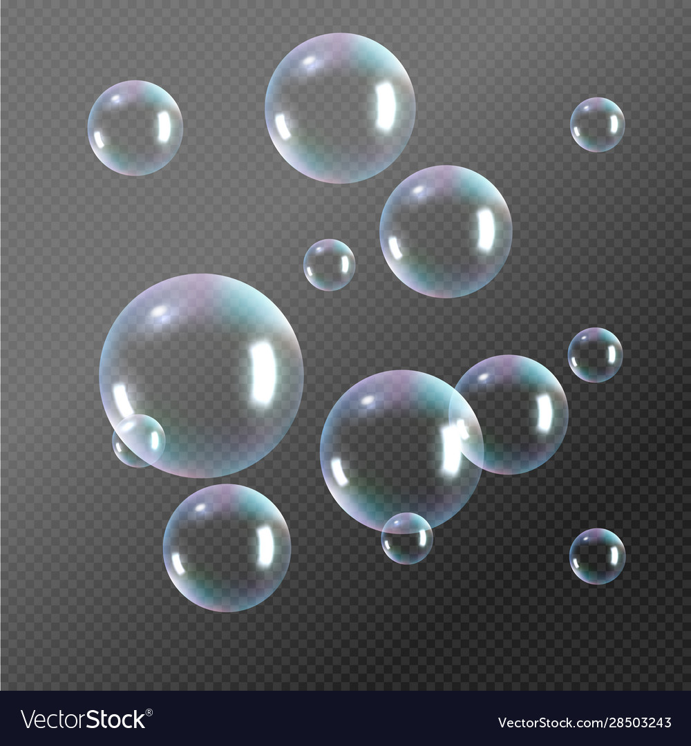 Realistic soap bubbles rainbow reflection Vector Image