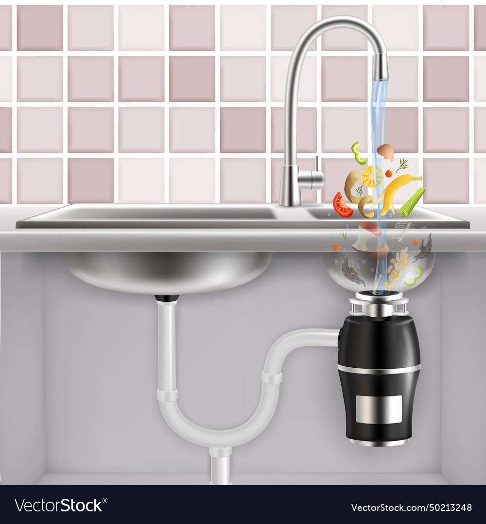 Food waste disposer and kitchen scraps realistic Vector Image
