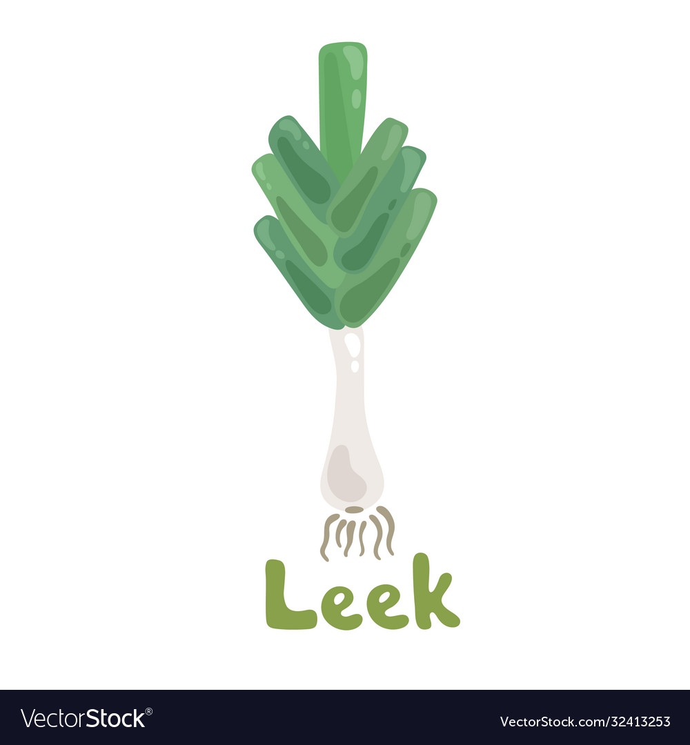 Leek kawaii cartoon vegetable