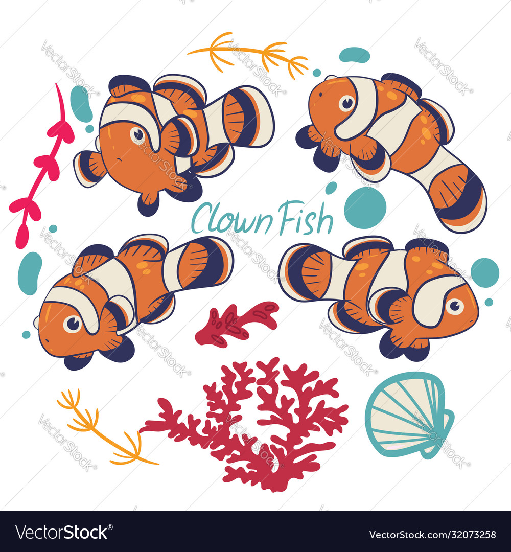 Set clown fish isolated on a white background