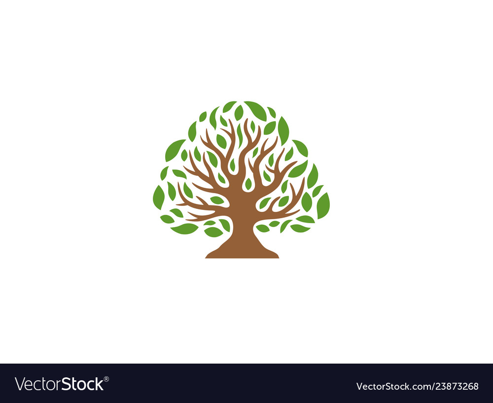 Creative tree logo Royalty Free Vector Image - VectorStock