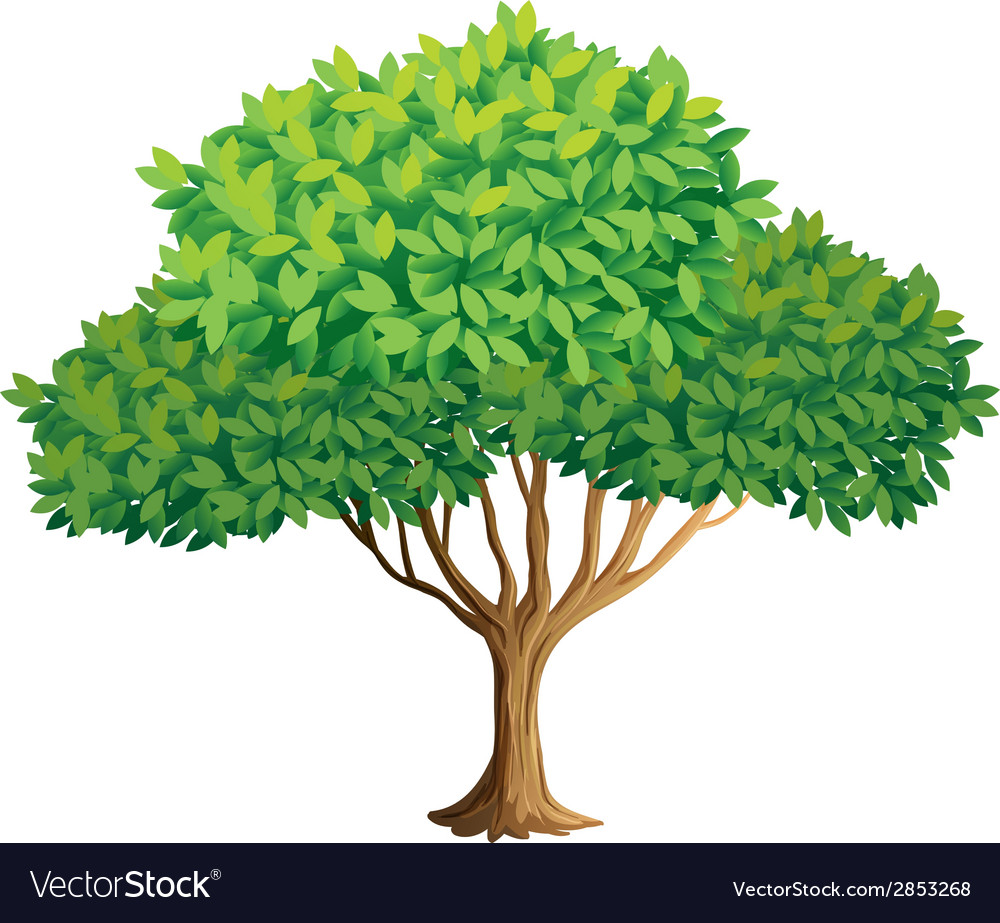 Tree Royalty Free Vector Image - VectorStock