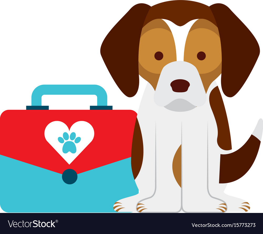 Cute dog mascot with box transport