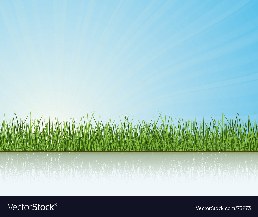 Grass under the sunlight Royalty Free Vector Image