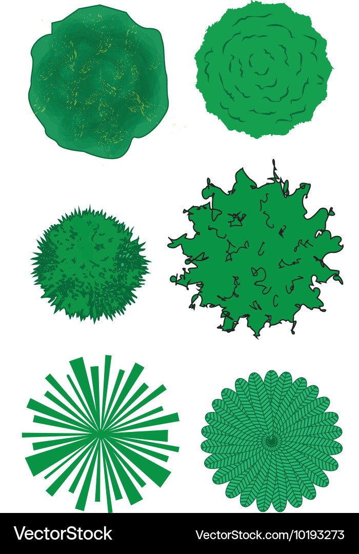 Landscape and architectural design trees Vector Image