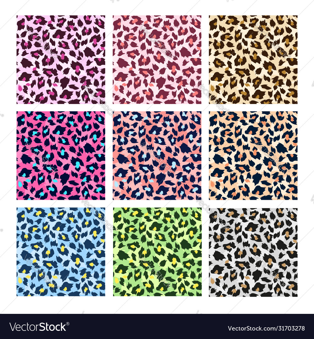 Colorful leopard print Royalty Free Vector Image