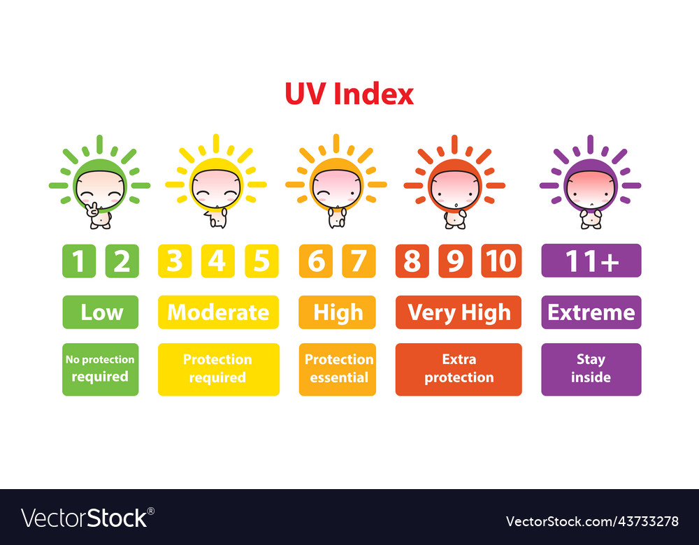 Infographic of uv index chart Royalty Free Vector Image