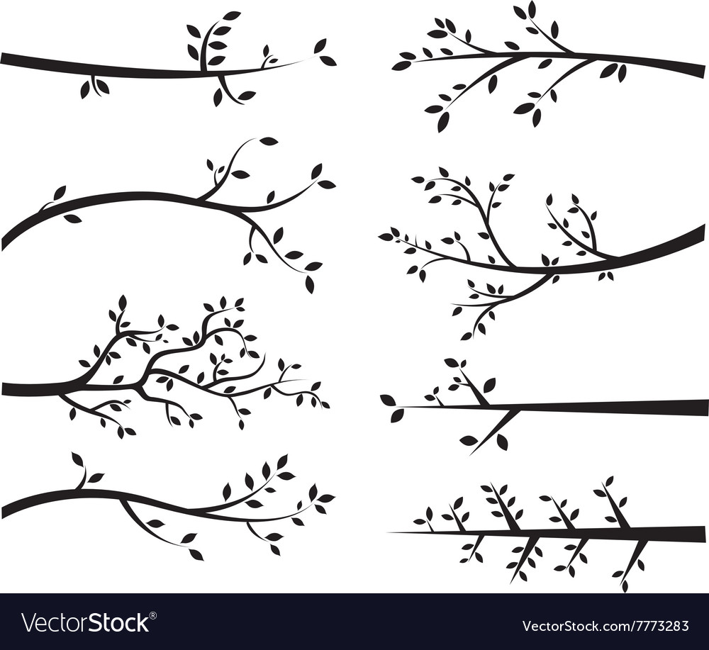 Branch silhouettes Royalty Free Vector Image VectorStock