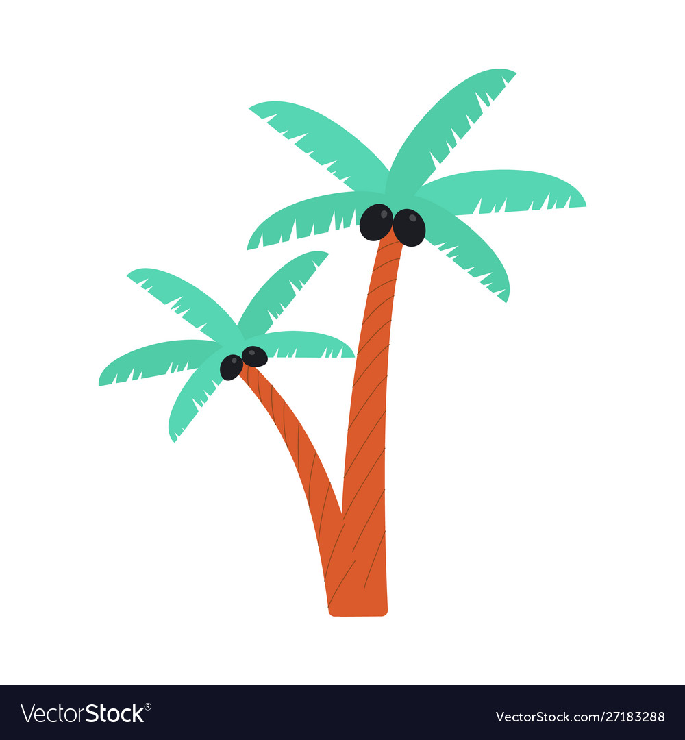 Cartoon Palm Tree Drawing With Black Coconuts Vector 27183288 