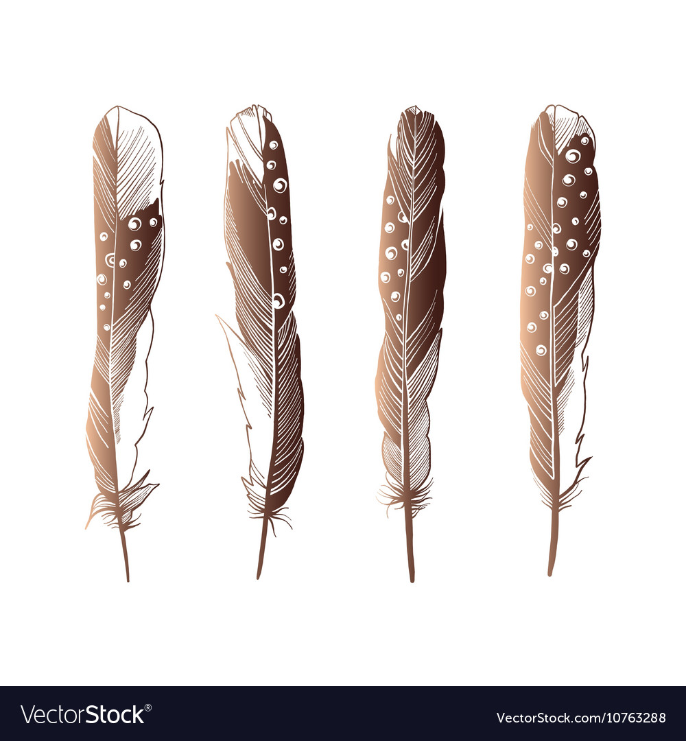 Set of four straight feathers