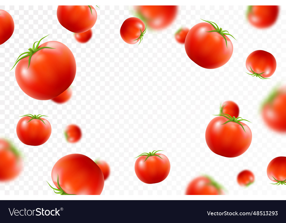 Tomato background falling fresh ripe tomatoes