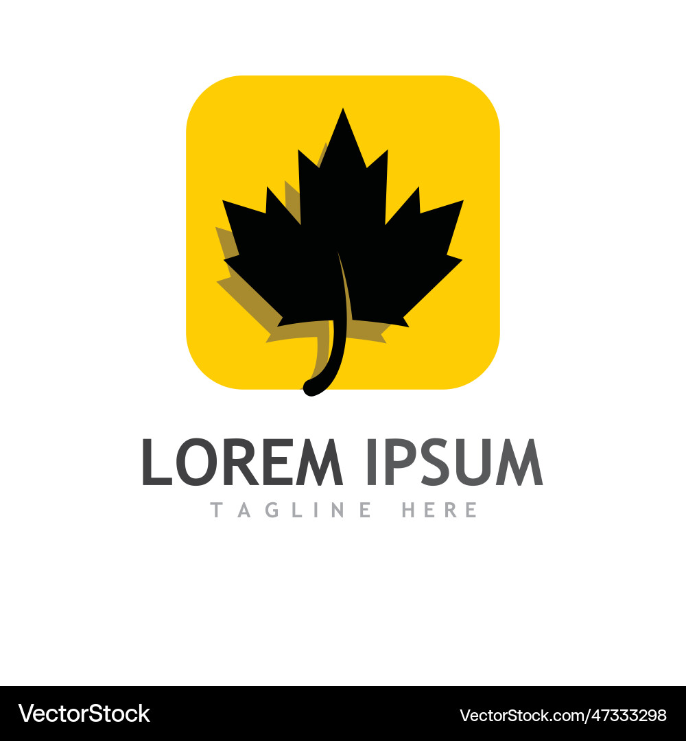 Maple leaf Royalty Free Vector Image - VectorStock