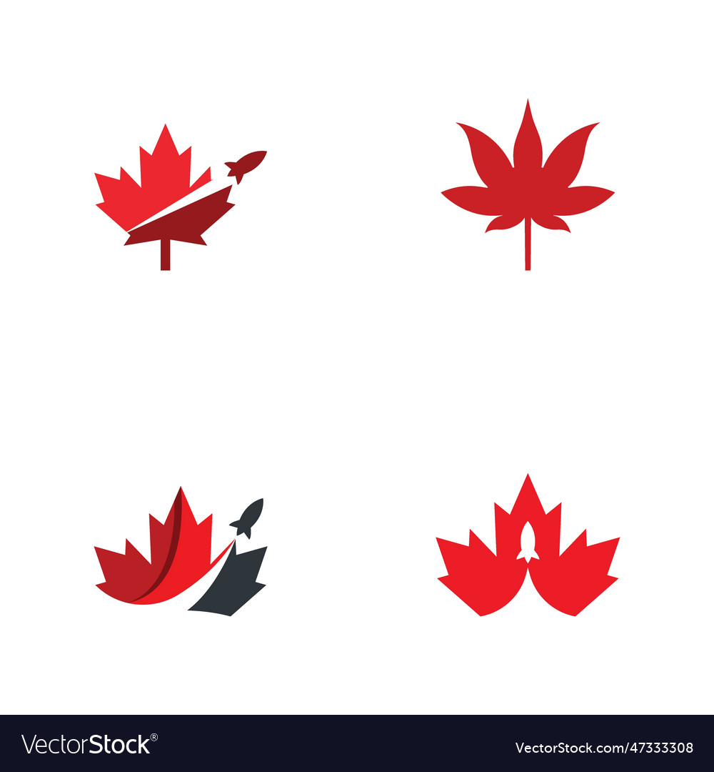 Maple leaf Royalty Free Vector Image VectorStock