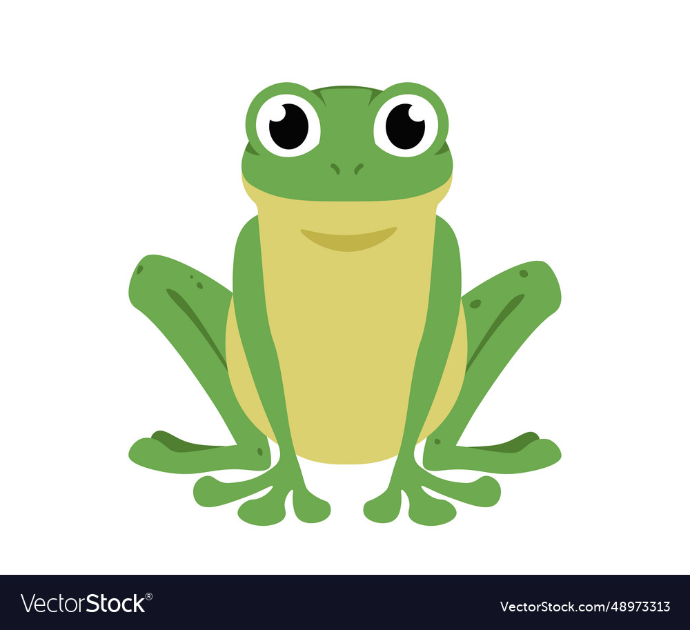 A sitting frog with bulging eyes Royalty Free Vector Image