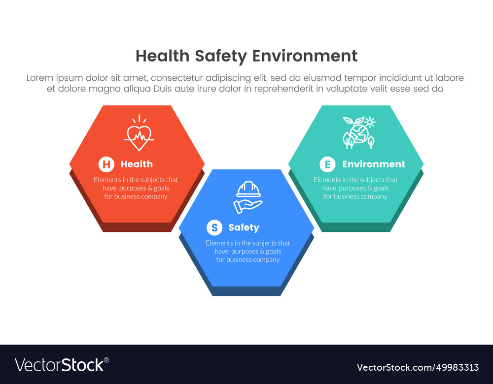 Hse Framework Infographic 3 Point Stage Template Vector Image