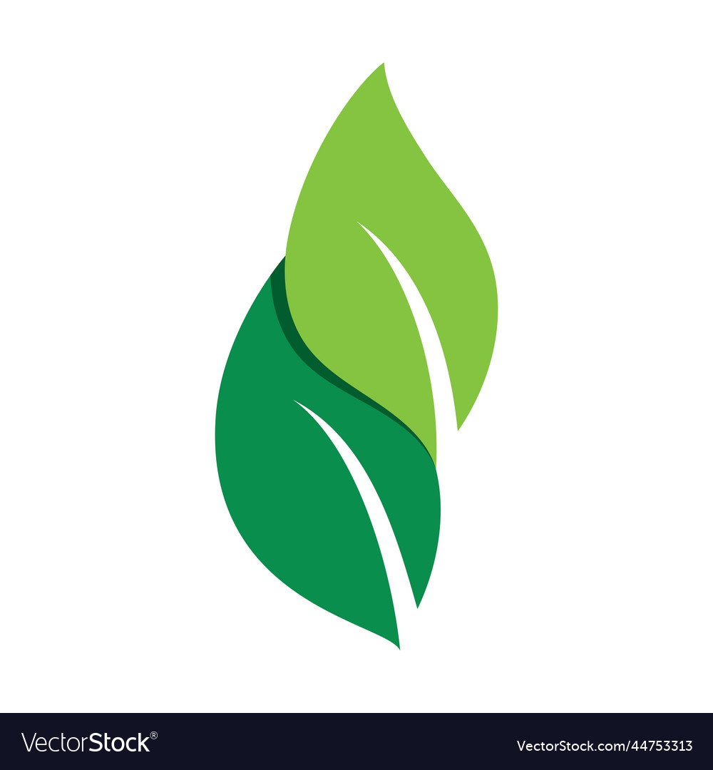 Leaf Green Logo And Symbol Royalty Free Vector Image