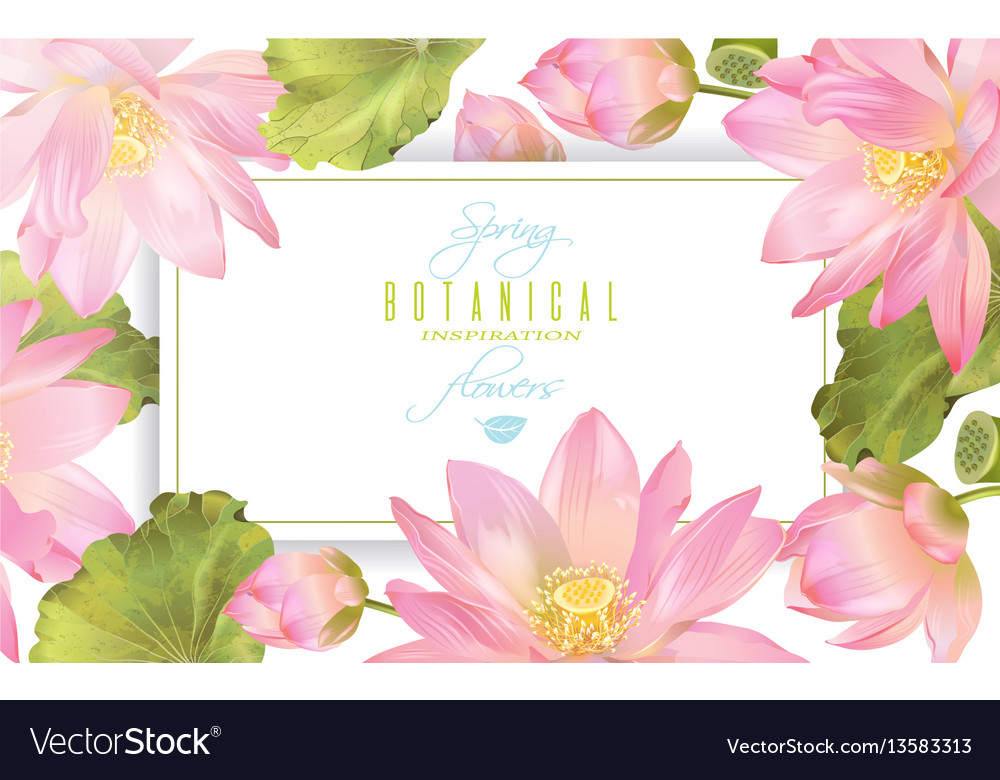 Lotus flower banner Royalty Free Vector Image - VectorStock