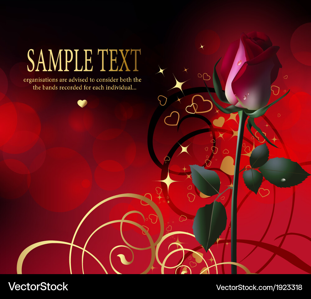 Rose Royalty Free Vector Image - VectorStock