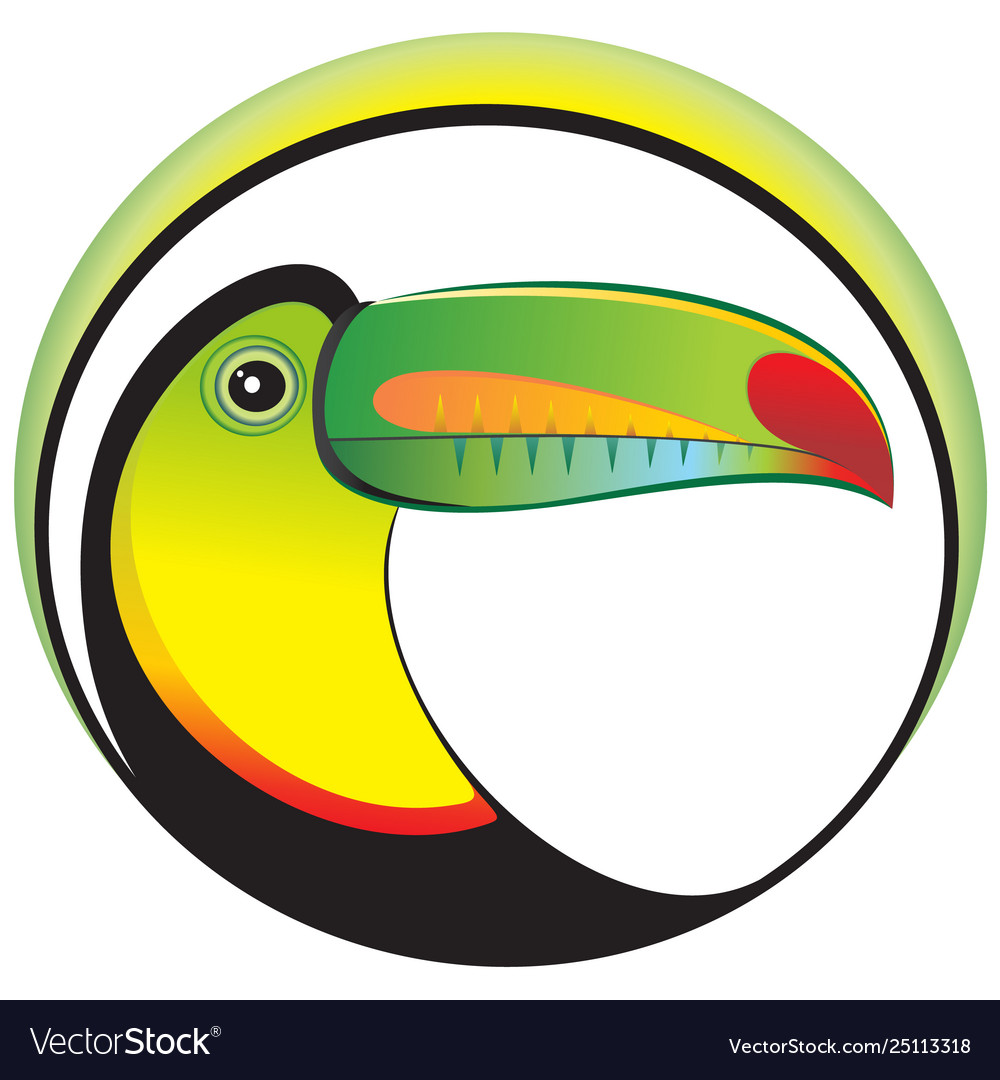 Toucan head Royalty Free Vector Image - VectorStock